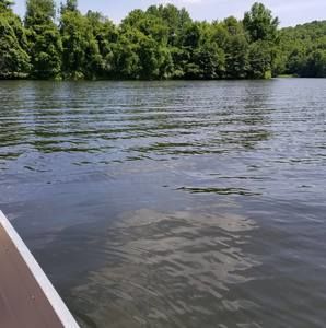 Meet your Posher, Leroy